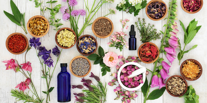 REMEDIOS NATURALES ANTI VIRALES