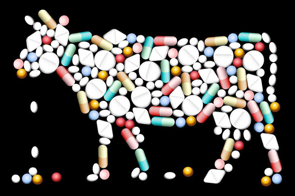 USO EXCESIVO DE ANTIBIÓTICOS EN LA AGRICULTURA ANIMAL: MÁS DATOS Y AÚN NO HAY ACCÍON